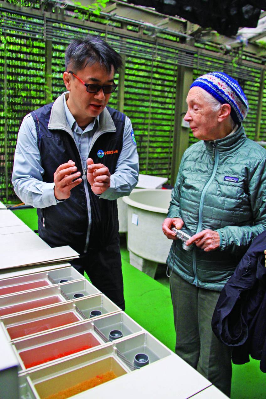 珍古德博士參訪指導臺灣櫻花鉤吻鮭種原庫